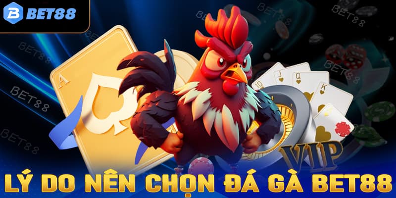 Nền tảng giải trí mang lại nhiều lợi ích cho người chơi với hệ thống bảo mật an toàn